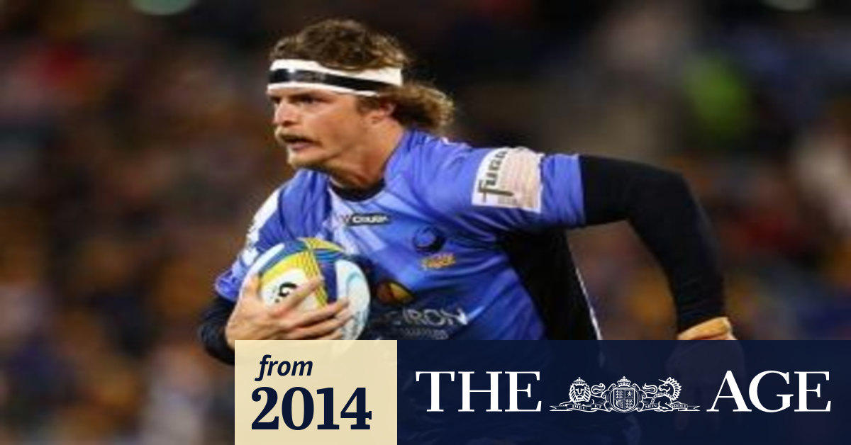 'Honey Badger' Nick Cummins eyes Super Rugby return in 2015